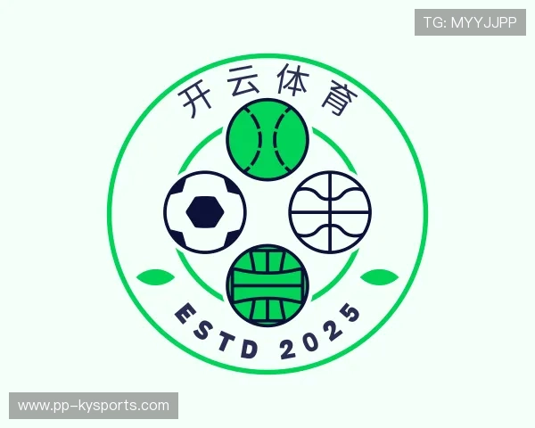 关于开云电竞入口
